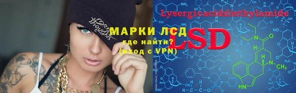 PSILOCYBIN Новозыбков