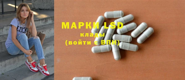 PSILOCYBIN Новозыбков