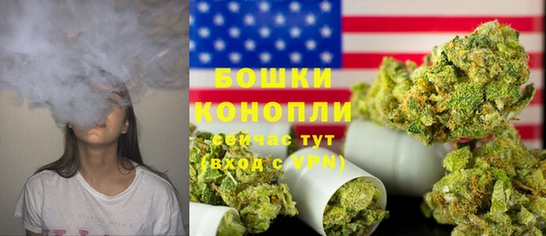 PSILOCYBIN Новозыбков
